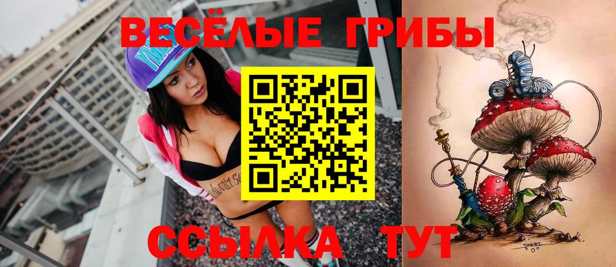 Псилоцибиновые грибы Psilocybine cubensis  Вход с VPN  Златоуст 